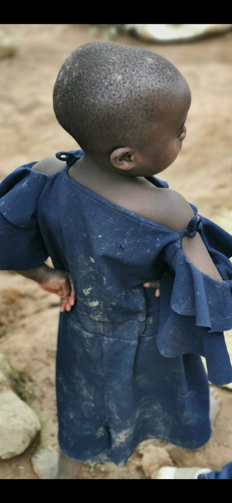 0b8f3412 b6ca 4bbc 835a e5ce509a48d2