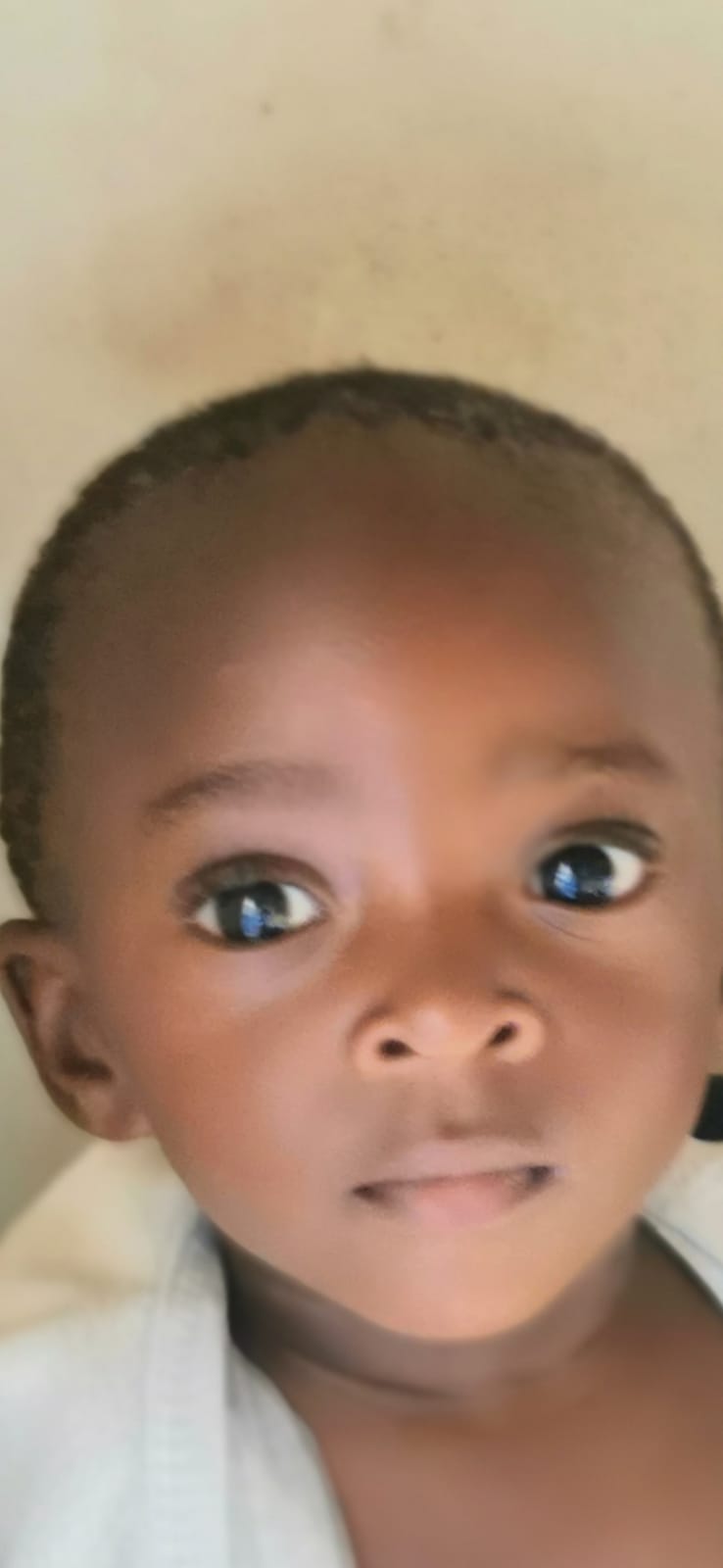 51c924ae 0726 4499 9085 963f8a3cc971